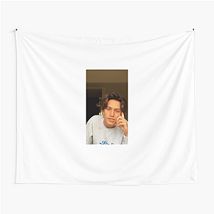Lil Huddy Teenage Heartbreak Vibes Lil Huddy Tapestries