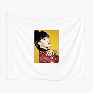 Lily’s Lyrical Punches Lily Allen Tapestries