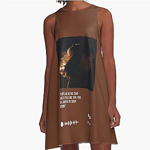 Lizzy McAlpine "ceilings" Song Poster A-Line Dress