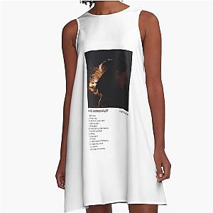 Lizzy McAlpine - Five Seconds A-Line Dress