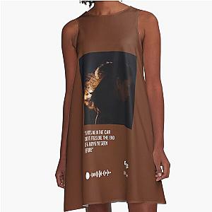 Lizzy McAlpine ceilings A-Line Dress
