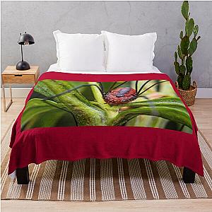 Harvestman Daddy Longlegs Spider - Opiliones Throw Blanket