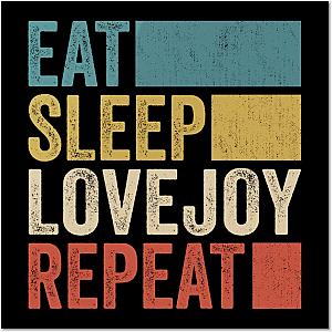 Funny Eat Sleep Lovejoy Repeat Retro Vintage Poster TP0509