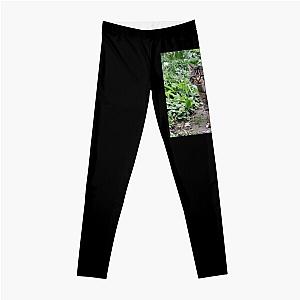 Loverboy Visiting Premium Scoop Leggings