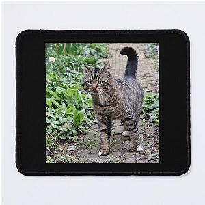 Loverboy Visiting Premium Scoop Mouse Pad