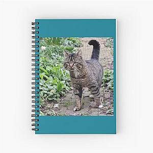 Loverboy Visiting Premium Scoop Spiral Notebook