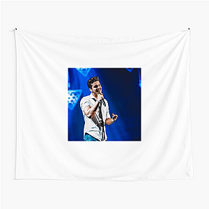 Luan Santana Limited Collection Luan Santana Tapestries