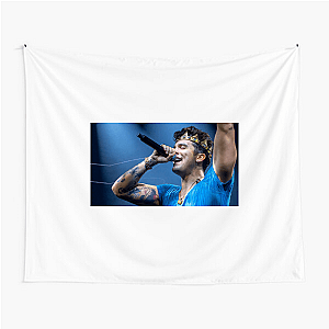 Luan Santana Signature Luan Santana Tapestries