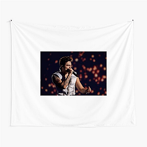 Luan Santana Merchandise For Fans Luan Santana Tapestries