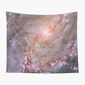 M83 (HST) Tapestry