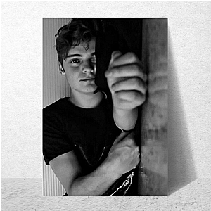 Martin Garrix Drop The Beat Live The Moment Martin Garrix Posters