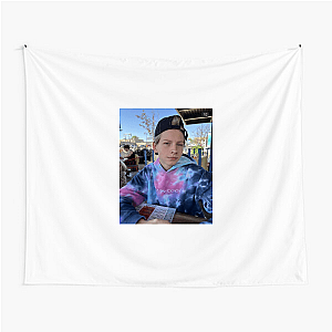 Mason Ramsey From Viral To Vocal Mason Ramsey Tapestries