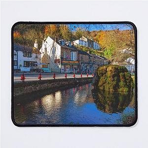 Matlock Bath Carp Pond Mouse