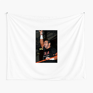 In-Ring Storyteller Matt Hardy Matt Hardy Tapestries