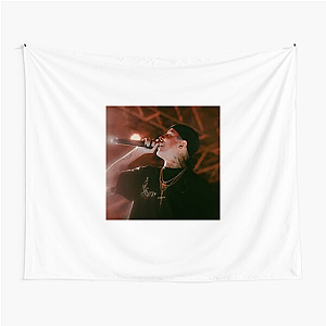 Youth Idol MC Don Juan Mc Don Juan Tapestries