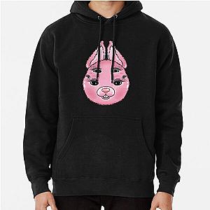 Teacher_s Pet   Pullover Hoodie RB1704