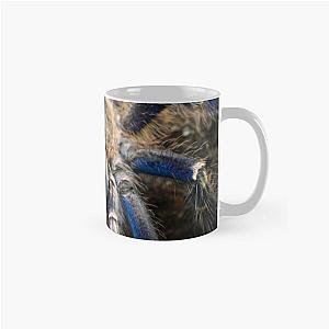 Beautiful blue Gooty Sapphire Ornamental Tarantula (Poecilotheria metallica) Classic Mug