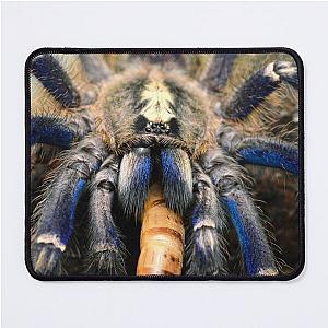 Beautiful blue Gooty Sapphire Ornamental Tarantula (Poecilotheria metallica) Mouse Pad