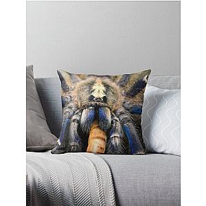 Beautiful blue Gooty Sapphire Ornamental Tarantula (Poecilotheria metallica) Throw Pillow