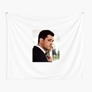 Michael Bublé Making Spirits Bright Michael Bublé Tapestries