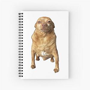 Mighty Mouse Spiral Notebook