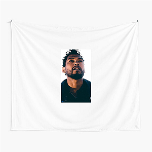 Miguel R&B King Miguel Tapestries