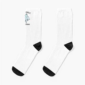 Holy Ghost Modern Baseball Socks