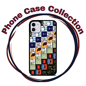 Modest Mouse Cases