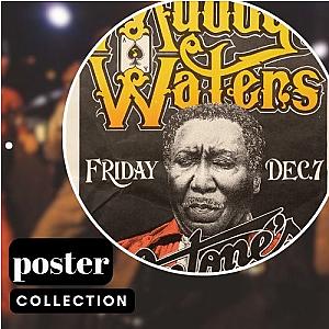 Muddy Waters Posters