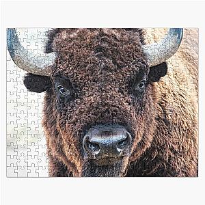 American Bison  -  A Living National Treasure Jigsaw Puzzle