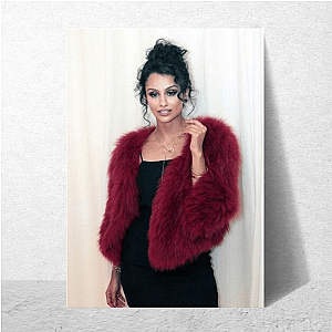 Nazanin Mandi Artistic Soul Nazanin Mandi Posters