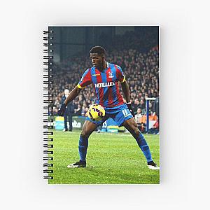 Ball Control Is Elevated To New Heights Spiral Notebook