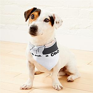 Niall Horan We Took A Chonce Pet Bandanas Premium Merch Store