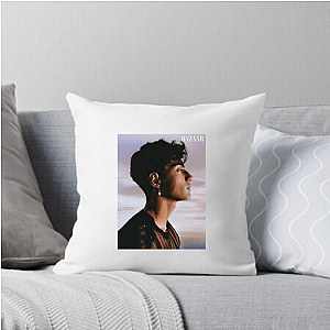 Nic’s Lane Only Nic Kaufmann Pillows Cover