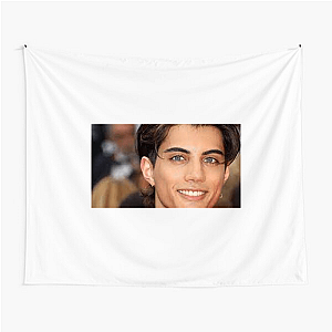 Kaufmann Mood Activated Nic Kaufmann Tapestries