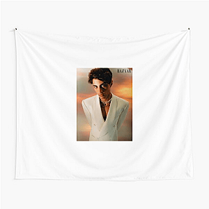 Kaufmann Approved Fit Nic Kaufmann Tapestries