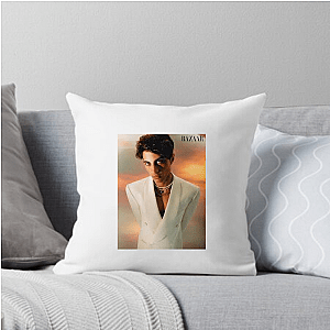Kaufmann Approved Fit Nic Kaufmann Pillows Cover