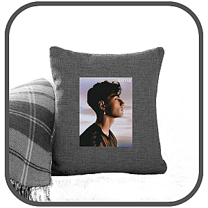 Nic Kaufmann Pillows Cover