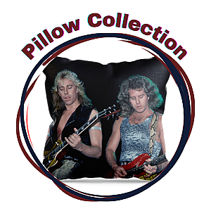 Night Ranger Pillows