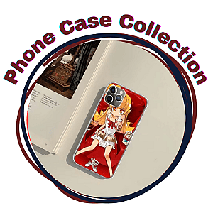 Nisemonogatari Cases