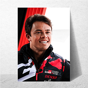 Precision Driver Nyck De Vries Posters