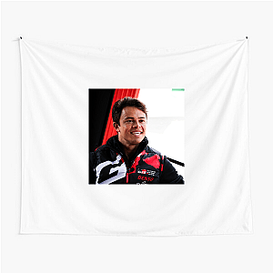 Precision Driver Nyck De Vries Tapestries