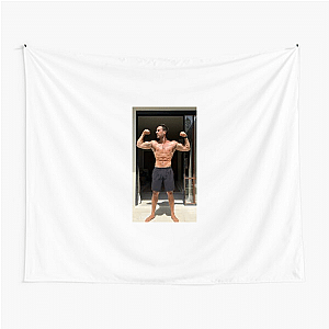 Oliver Sjostrom Special Collection Oliver Sjostrom Tapestries