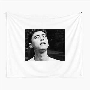 Olly Alexander It's A Sin Superstar Olly Alexander Tapestries