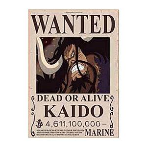 Wanted Kaido Search Notice OMN1111