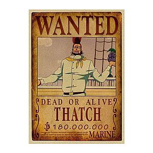 Thatch Wanted Search Notice OMN1111