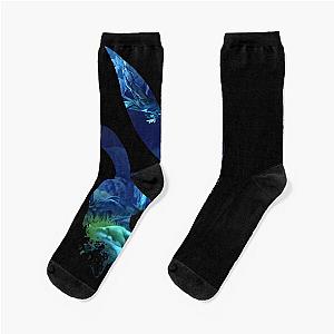 Poster Ori and the Will of Wisps art Socks