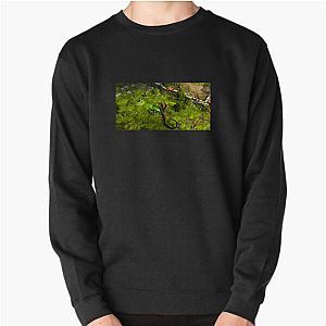 Pathfinder Kingmaker Build Your Own Empire Pathfinder Kingmaker Sweatshirts