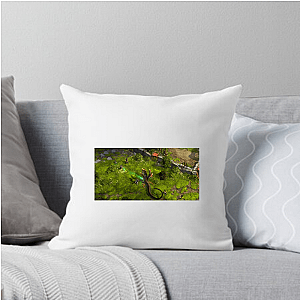 Pathfinder Kingmaker Build Your Own Empire Pathfinder Kingmaker Pillows Cover