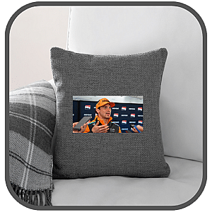 Pato Oward Pillows Cover
